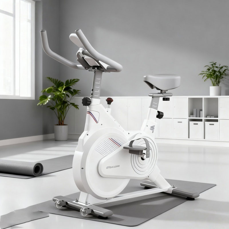 İç Mekan Sabit Spin Bisikleti, - Exercise Bike Magnetic Resistance incelemesi ve fiyatı